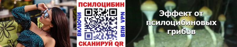 Псилоцибиновые грибы Cubensis  Строитель 